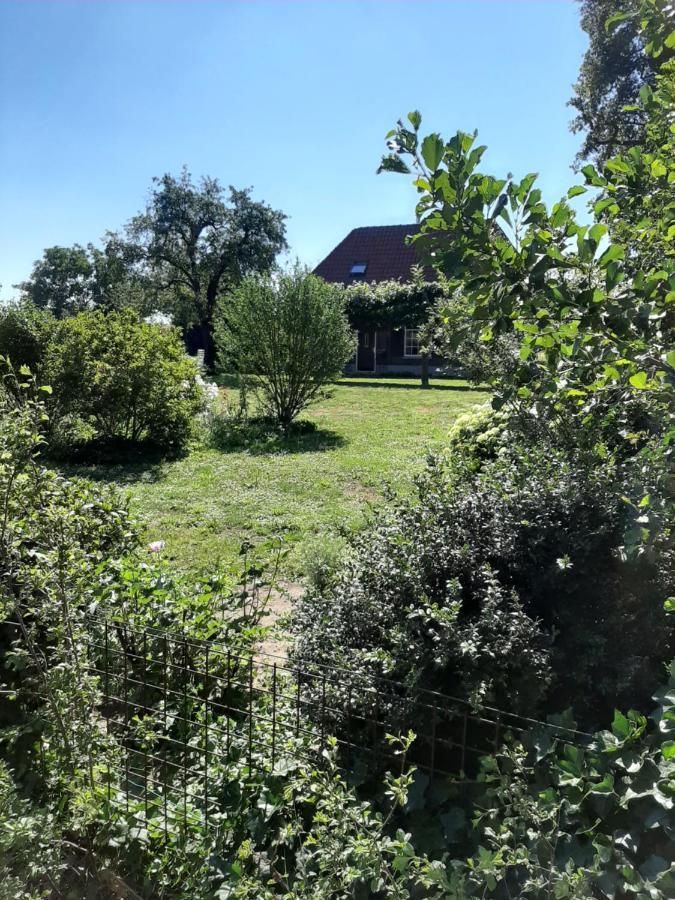 Bruiler Hof Bed & Breakfast Ruurlo Luaran gambar